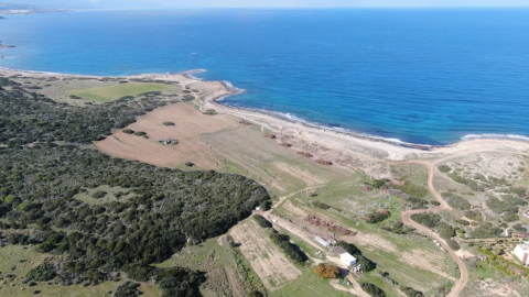 Наш будущий роскошный антивозрастной оздоровительный проект на берегу моря на Кипре